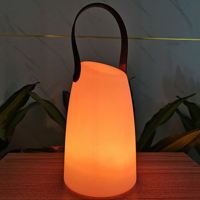 Plastic Portable LED Lamp Wireless Remote Control For Garden