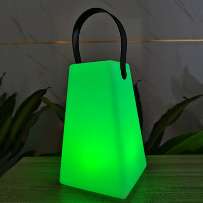 LED Plastic Color Changing Waterproof Garden Decorative Lamp With Remote Controller