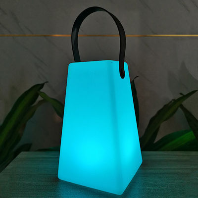 LED Plastic Color Changing Waterproof Garden Decorative Lamp With Remote Controller