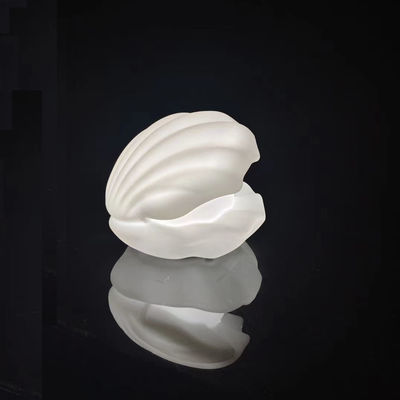 16 colors changing wireless night light RGB LED seashell light