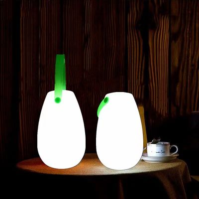 2700K CCT Plastic LED Portable Lamp Rechargeable For Restaurant