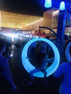 Amusement Facility Glow Led Swings With Hanging Frame